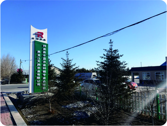 黑龍江天潤200噸/天大豆榨油、30噸/天精煉生產線